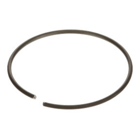 Sprengring Case 87702003