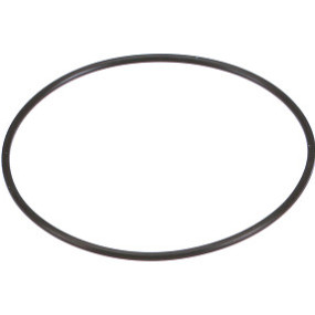 O-Ring Case 87736456