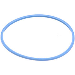 Dichtung Case 92488C1