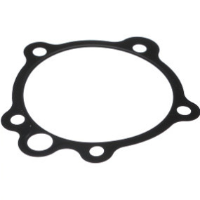Dichtung, Flach Case 99448739
