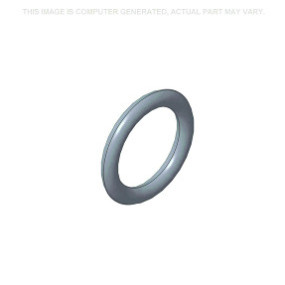 O-Ring (J867640) Case