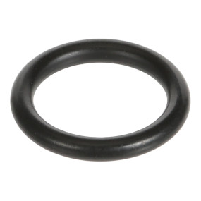 O-Ring Case 1971185C1