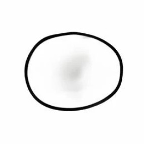 O-Ring Case 402571R1