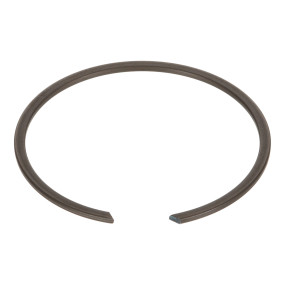 Sicherungsring Case