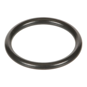 O-Ring Case 47547879