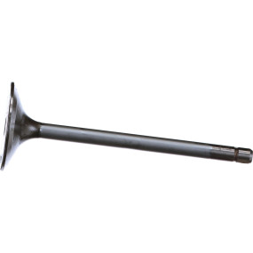 Einlassventil, Stand Case