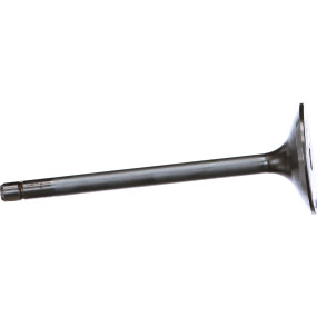Einlassventil, Stand Case