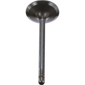 Einlassventil, Stand Case
