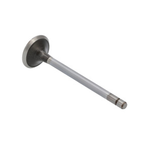 Einlassventil, Stand Case 504097328