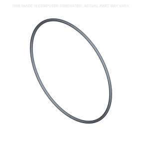 O-Ring Case 51445833