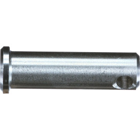 Bolzen Case