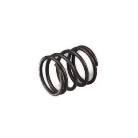 Feder Case 585488