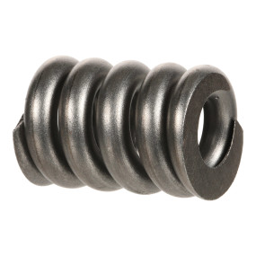 Feder Case 751506R2