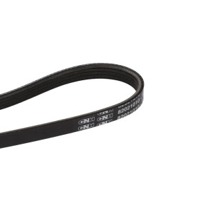 Riemen Case 82021010