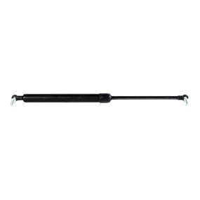 Gasdruckfeder Case 84569684