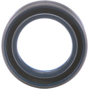 Dichtung Case
