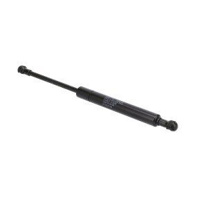 Gasdruckfeder Case 87352613