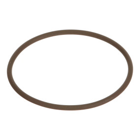 O-Ring Case 87521166