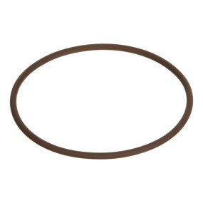 O-Ring Case 87521192