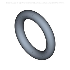 O-Ring Case 87584289