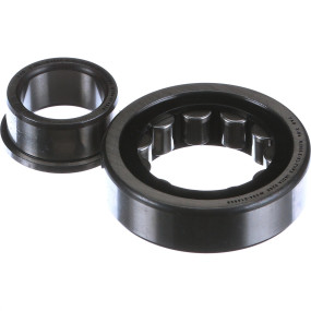 Rollenlager, Zylindr Case 9811397