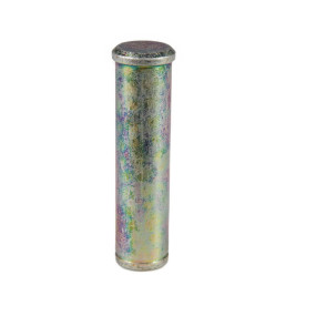 Bolzen Case 9831112