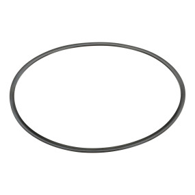 Dichtring Case 189051A1