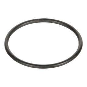 O-Ring Case 1971617C1