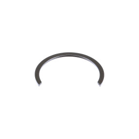 Sprengring Case 258444A1