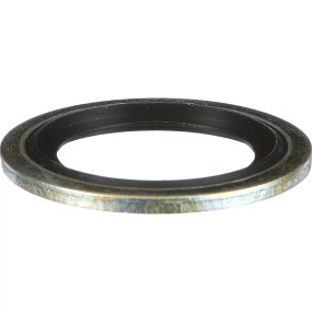 Dichtscheibe Case 2830546