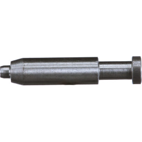 Bolzen Case 2855295