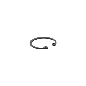 Sprengring Case 301646