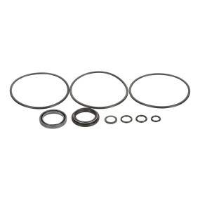 Dichtungssatz Case 304296A1