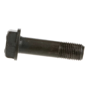 Radbolzen Case