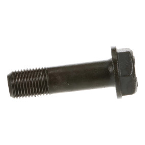 Radbolzen Case