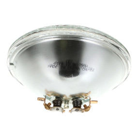 Glühlampe Case