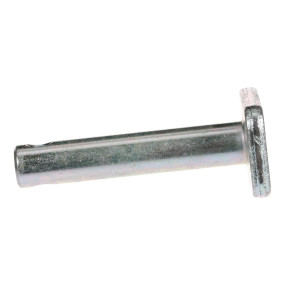 Bolzen Case 310497A1