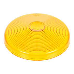 Streuscheibe Case 3112682R1