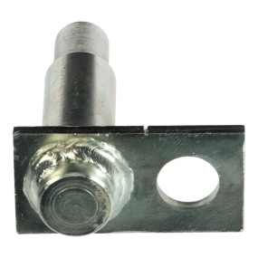 Bolzen Case