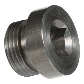Stopfen Case 3132544R2