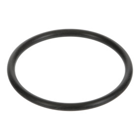 O-Ring Case 313798A1