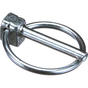 Bolzen Case 341198A1
