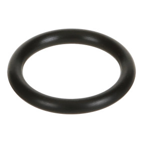 O-Ring Case 352024R2