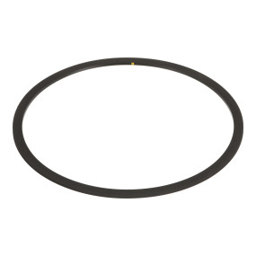 Dichtring Case 380244R1