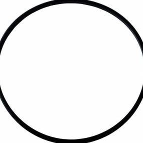 Dichtring Case 384398R1