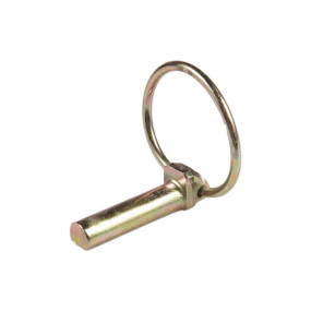 Splint Case 412389