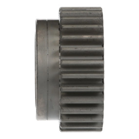 Zahnrad Case 4600376