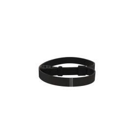 Riemen Case 47364506