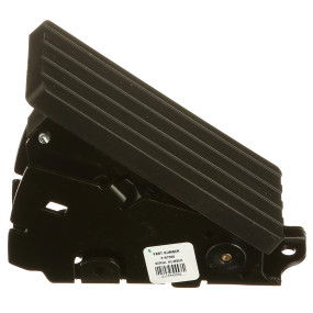 Pedal Case