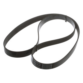 Riemen Case 47569912